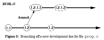 Figure 3: Branching off a new development line